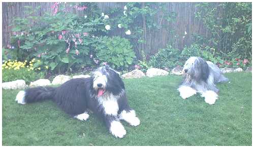 Mikey mit Cousine Baghi