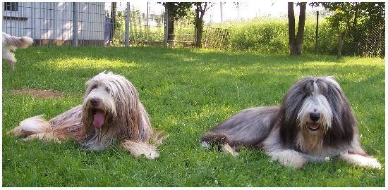 Papa und Sohn (Valentin)