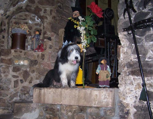 Dawson beschaut sich das ganze von oben