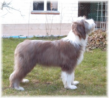 Bo mit 4 1/2 Monaten