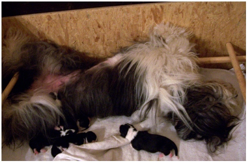 Auch Mamas m&uuml;ssen mal entspannen