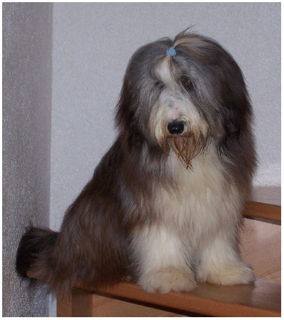 Coco ganz versch&auml;mt ;-)