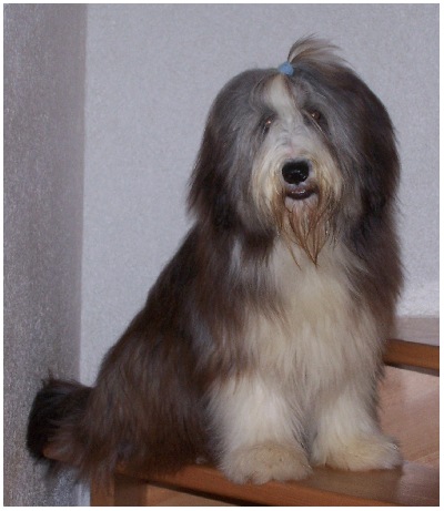 Coco, ganz charmant als Model