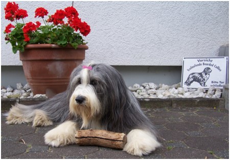 Geburtstags-Coco ;-)