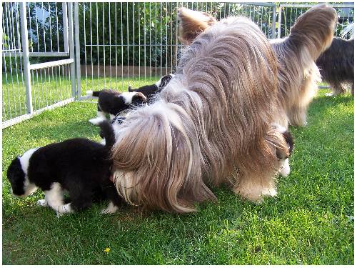 Bist du schon richtig sauber?