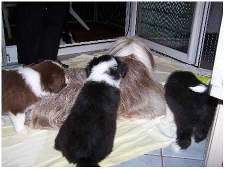 Supernanny Bo und ihre Kindergartenkids