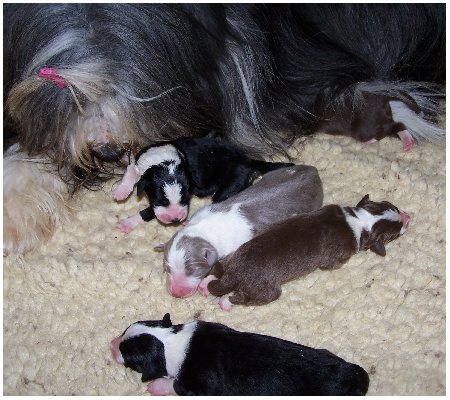 Alle auf einem Blick