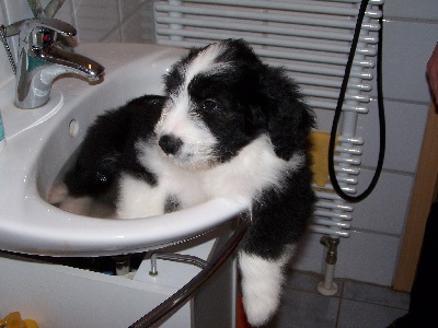 In meiner Badewanne bin ich Kapit&auml;n (O-Ton Dawson ;-))