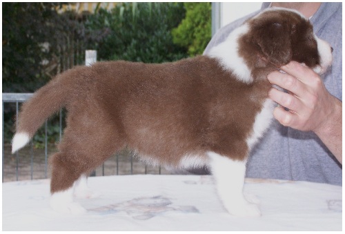 Dawn versucht sich dann mal im Stehen