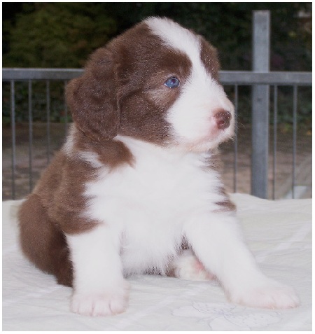 Sitzen ist aber noch besser