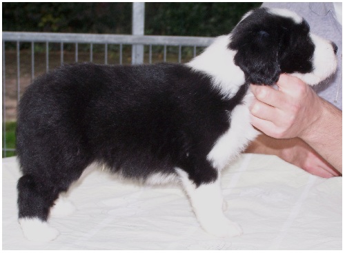 Bin ich nicht sch&ouml;n?