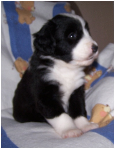 Prinzessinnen-Look, leider ein bissel verschwommen ;-)