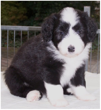 Na, doch eher keine Lust mehr...