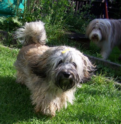 Action-Doodle (im Hintergrund Philosophy of life Cappuccina)