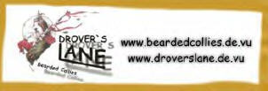 Die Droverslane-Beardies