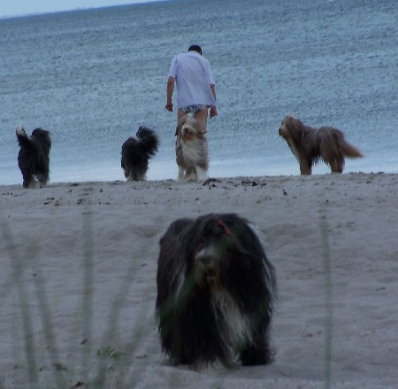 Meine Mausi genie&szlig;t das Strandleben