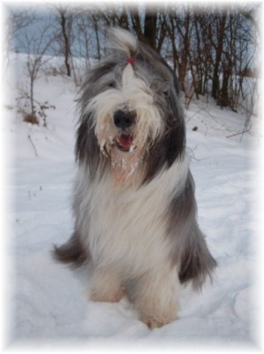 ...und hier vor genau einem Jahr, Januar 2004