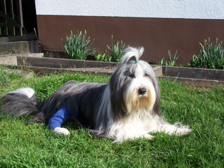 Leann, M&auml;rz 2007, leider noch mit Gipsverband