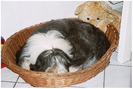 Wieder daheim ein bi&szlig;chen kuscheln