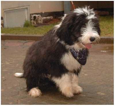 Mikey bei einem Fr&uuml;hjahrsbesuch