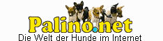 Palino