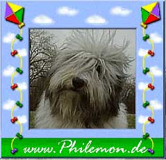 Philemon Bearded Collies