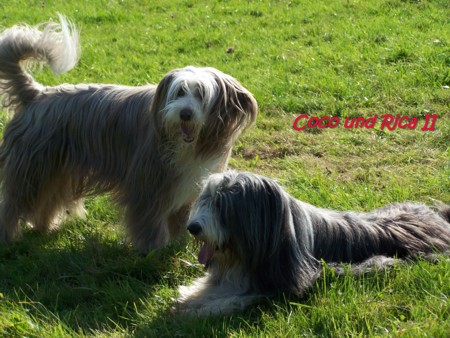 Nun h&uuml;pf endlich...