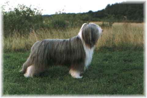 Sergeant Pepper's Everybody's Sunshine