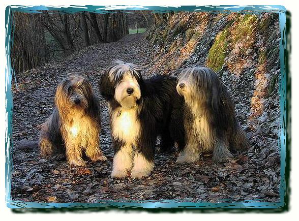 Bouncy, Piper und Neeva