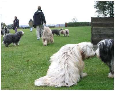 Ein K&uuml;sschen von Klein-Balou an Piper