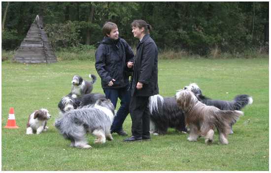 Giggelh&uuml;hner auf zwei- und vier Beinen