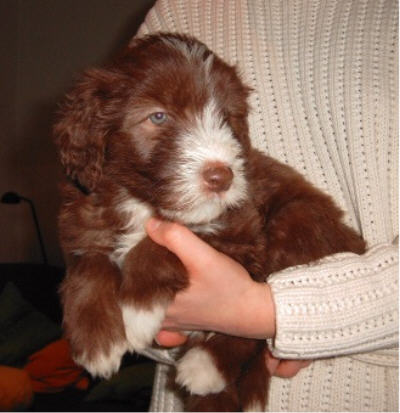 Ich nehm's ganz gelassen