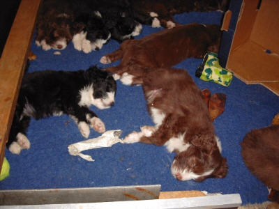 Das gro&szlig;e Schweigen