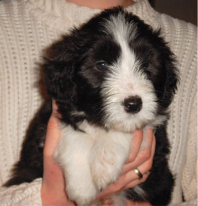 Eine liebe Zuckerschnecke