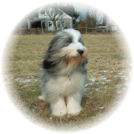 Winterträume 2002/2003