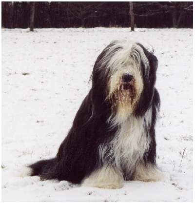 Gleicher Ort, nur 3 Jahre sp&auml;ter